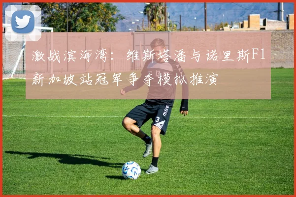 激战滨海湾：维斯塔潘与诺里斯F1新加坡站冠军争夺模拟推演