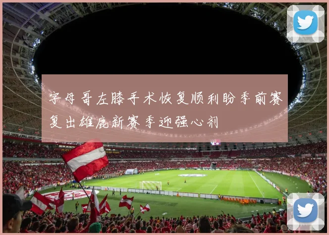 字母哥左膝手术恢复顺利盼季前赛复出雄鹿新赛季迎强心剂